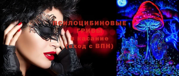 стафф Гусиноозёрск