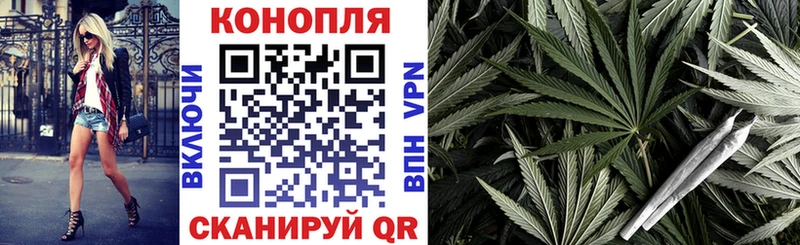 дарк нет официальный сайт  Сертолово  Канабис сатива 